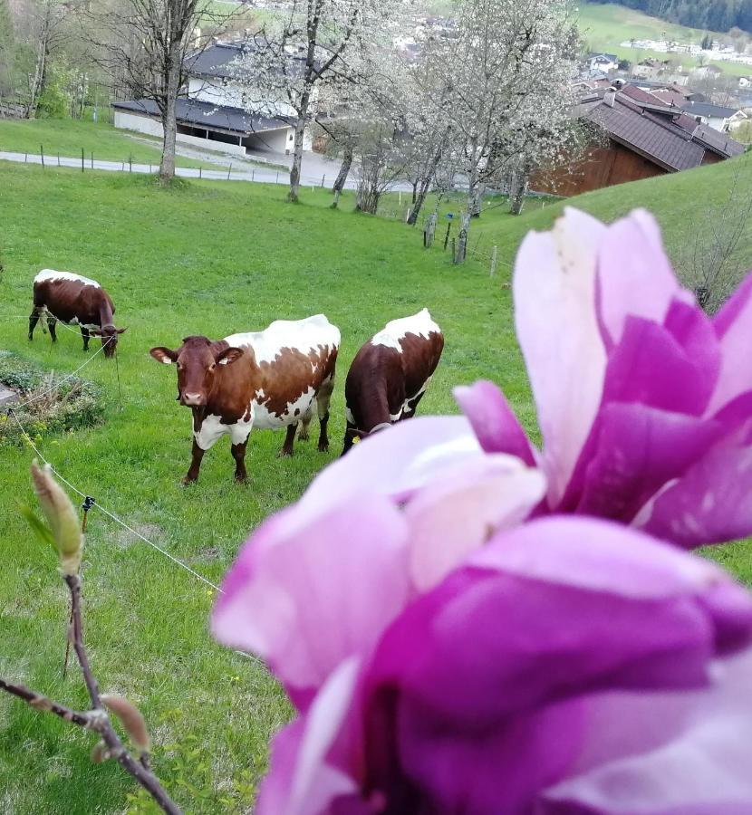Ferienwohnung Ehrensberger Brixen im Thale Exteriör bild